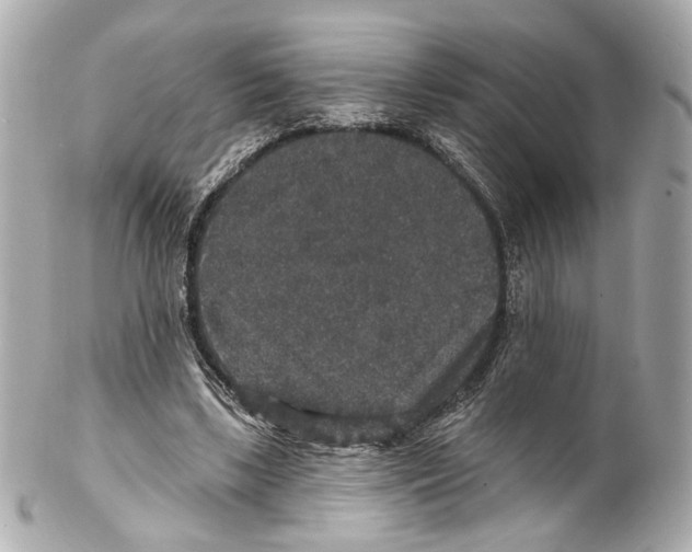 X0000102040443200808151410