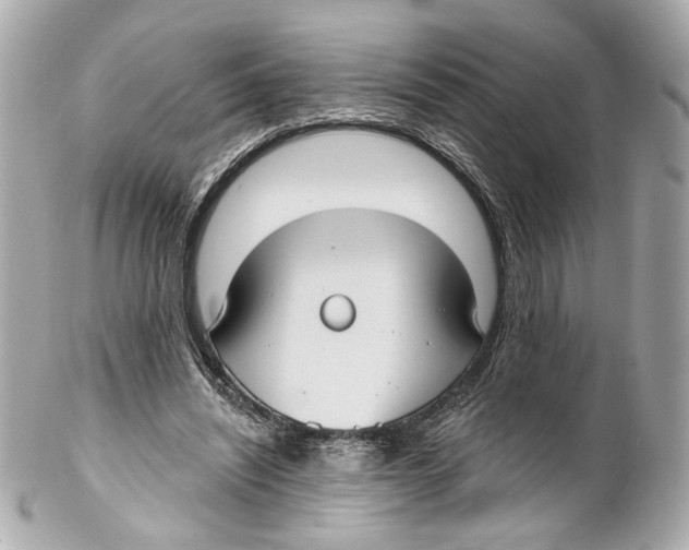 X0000102040444200808151410