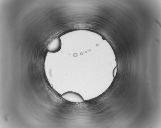 X0000102040445200808151410