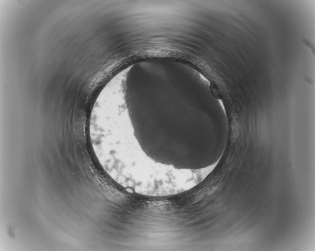 X0000102040446200808151410