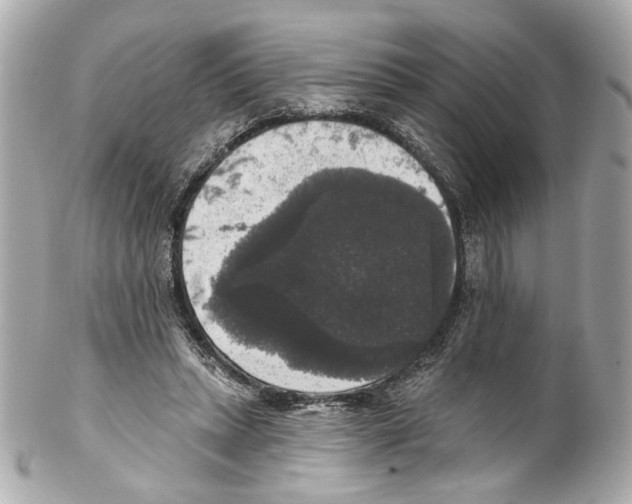X0000102040447200808151410