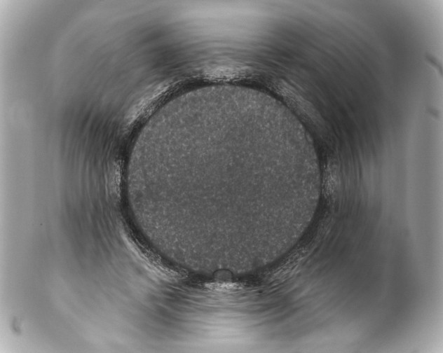 X0000102040448200808151410