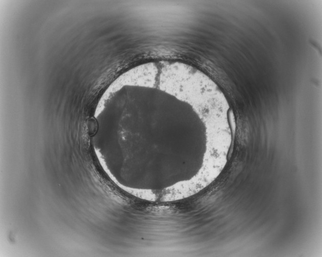 X0000102040449200808151410