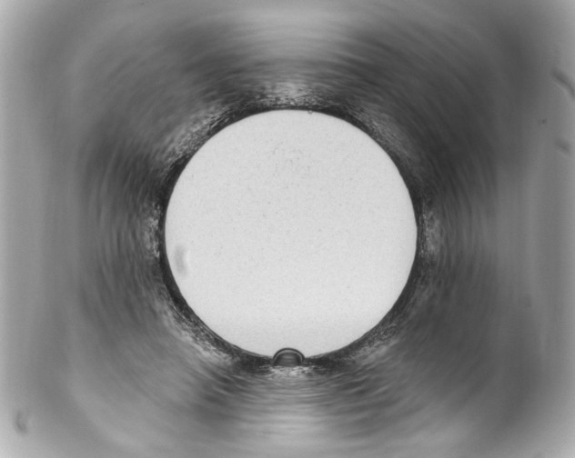 X0000102040450200808151410