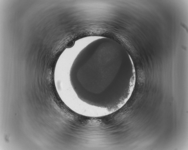 X0000102040451200808151410