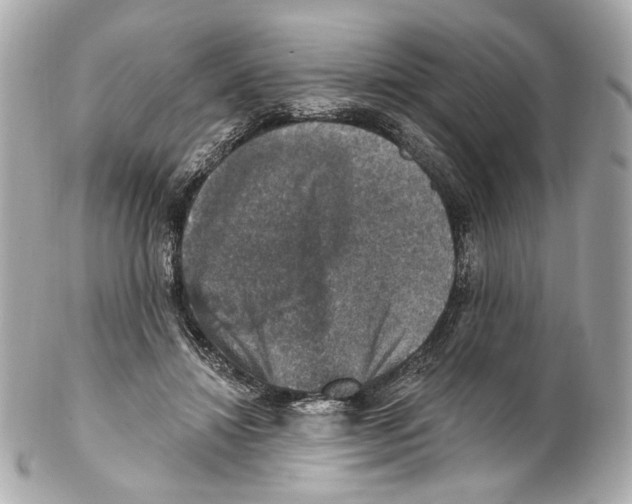 X0000102040452200808151410