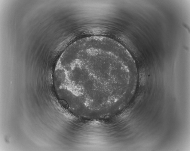 X0000102040453200808151410