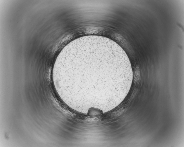 X0000102040454200808151410