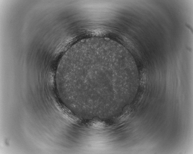 X0000102040456200808151410