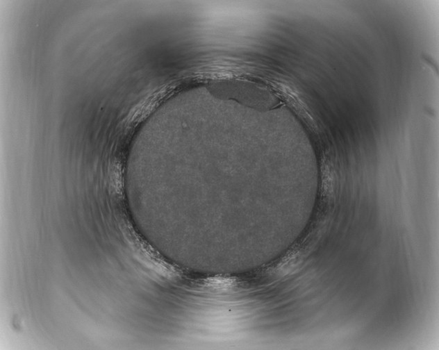 X0000102040457200808151410