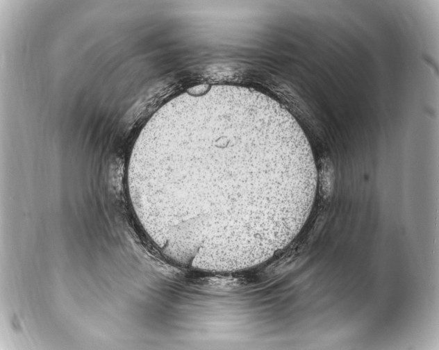X0000102040458200808151410
