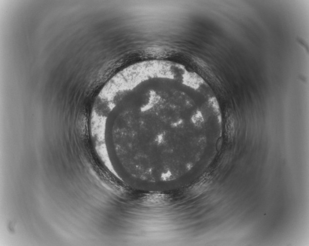 X0000102040459200808151410