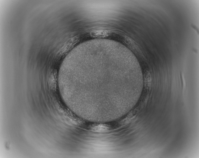 X0000102040460200808151410
