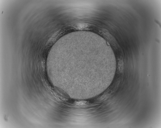 X0000102040461200808151410