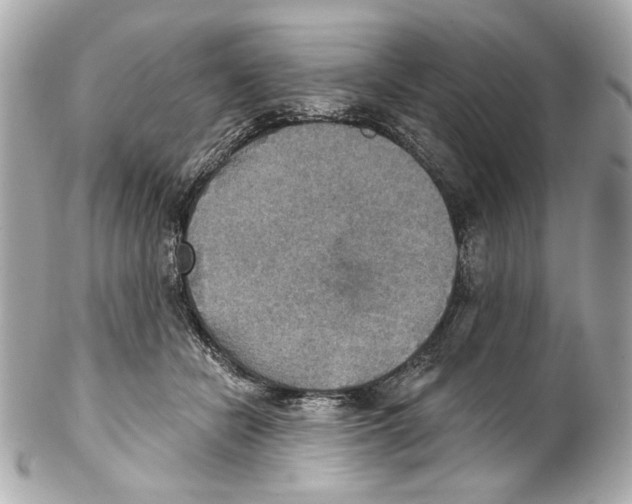 X0000102040462200808151410