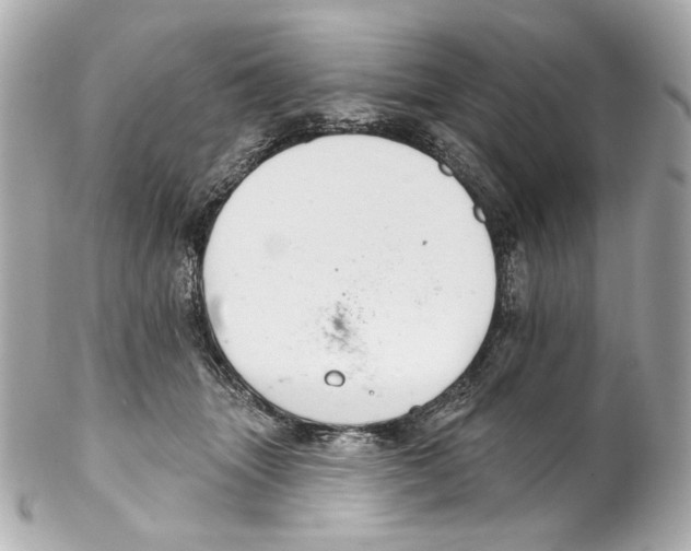 X0000102040463200808151410
