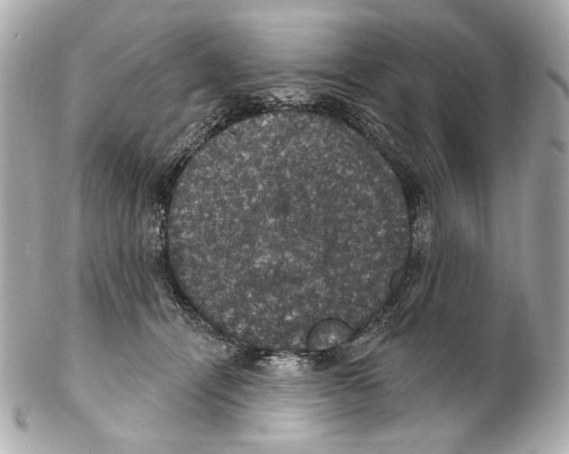 X0000102040464200808151410
