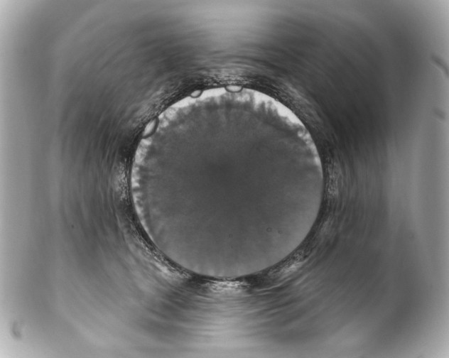 X0000102040465200808151410