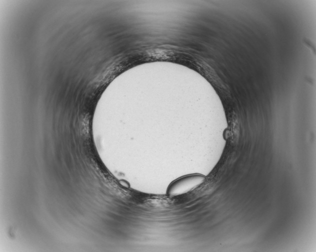 X0000102040466200808151410
