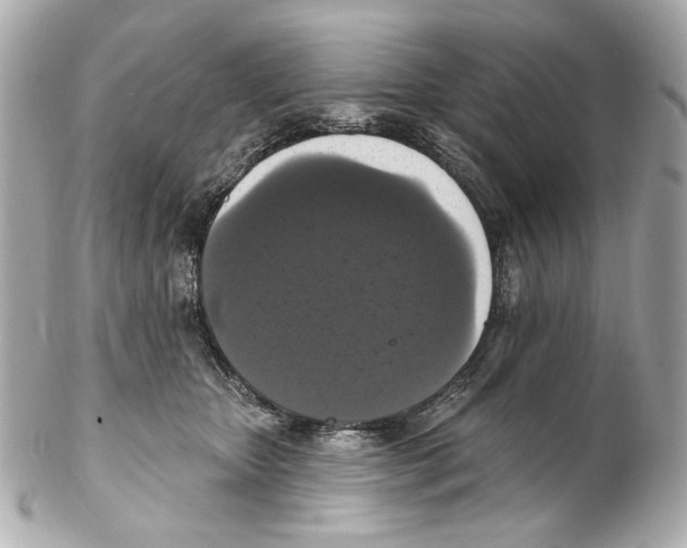 X0000102040467200808151410