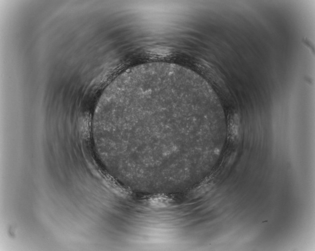 X0000102040468200808151410