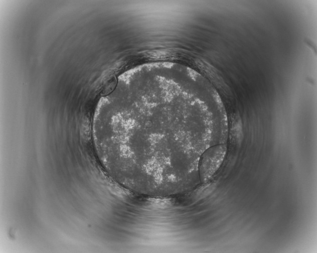 X0000102040469200808151411