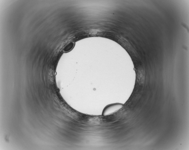 X0000102040470200808151411