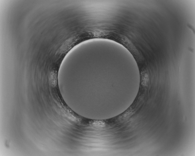 X0000102040471200808151411