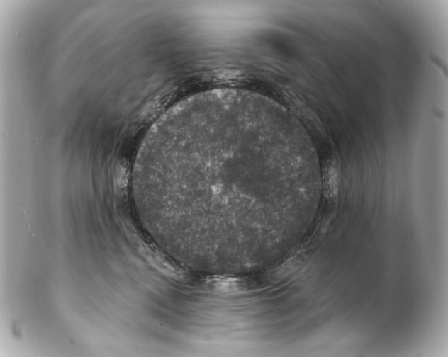 X0000102040472200808151411