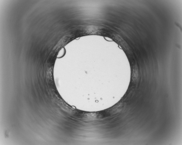 X0000102040473200808151411