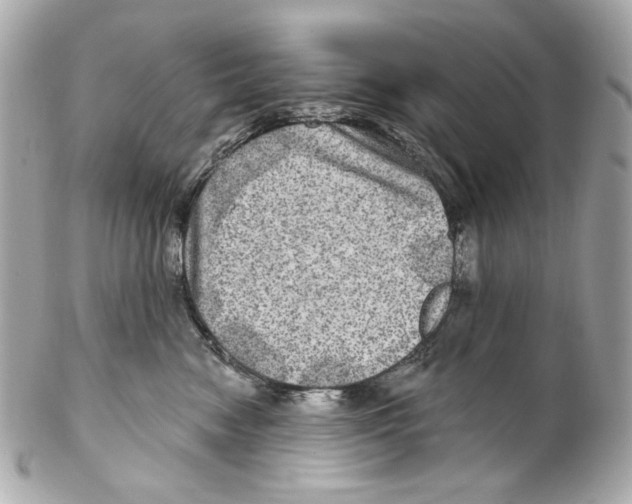 X0000102040474200808151411