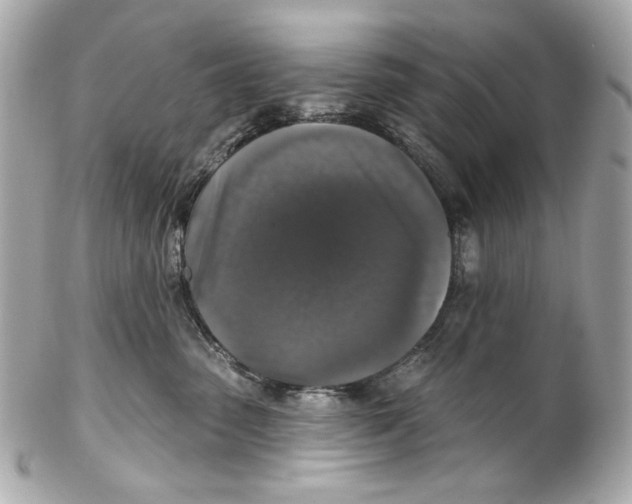 X0000102040475200808151411