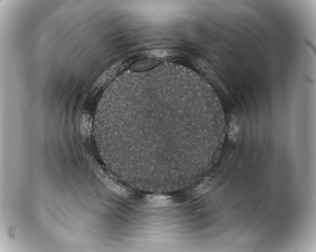 X0000102040476200808151411