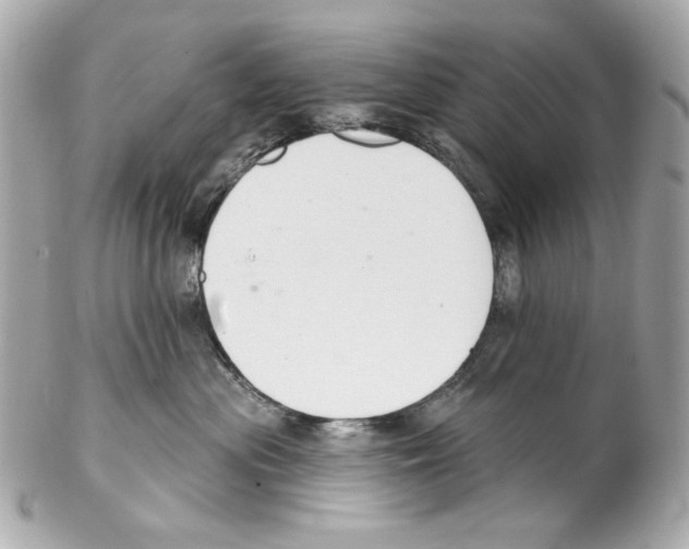 X0000102040477200808151411