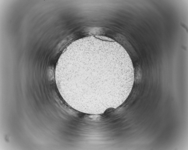 X0000102040478200808151411