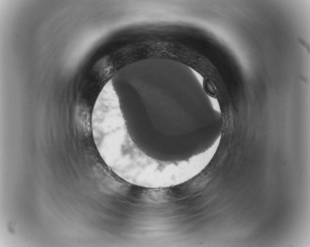 X0000102040479200808151411