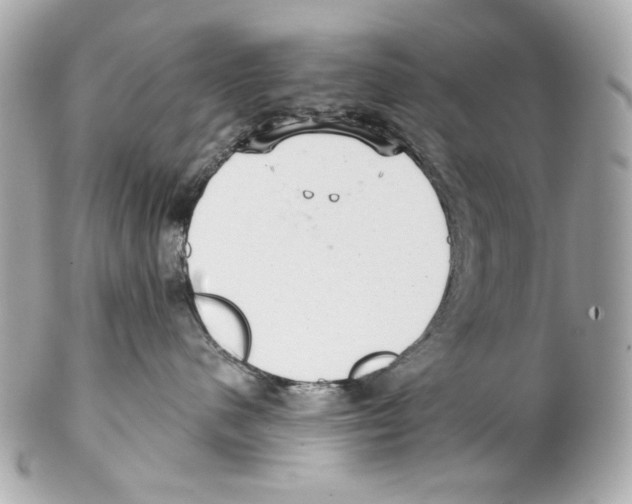 X0000102040480200808151411