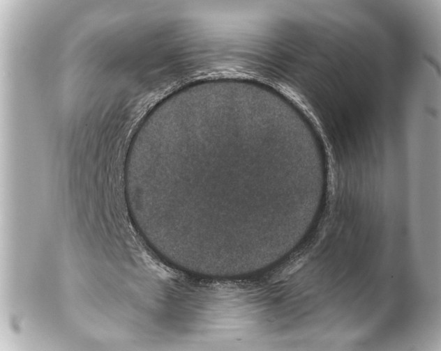 X0000102040481200808151410