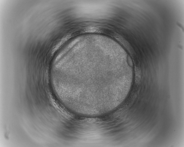 X0000102040482200808151410