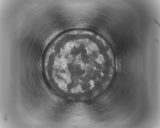X0000102040483200808151410