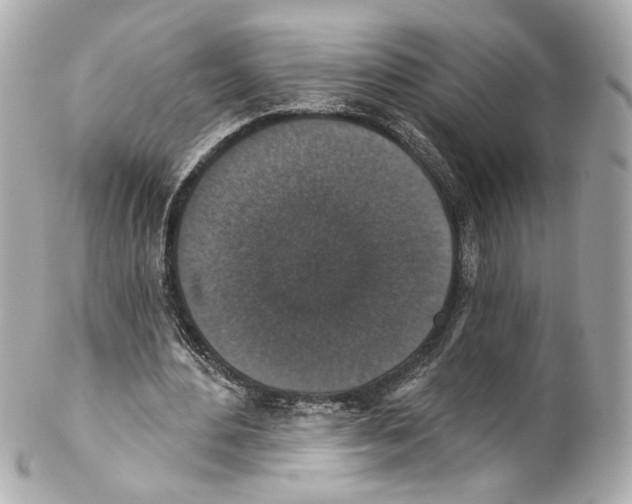 X0000102040484200808151410