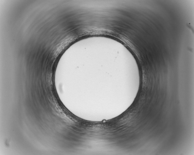 X0000102040485200808151410