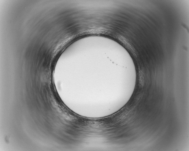 X0000102040486200808151410