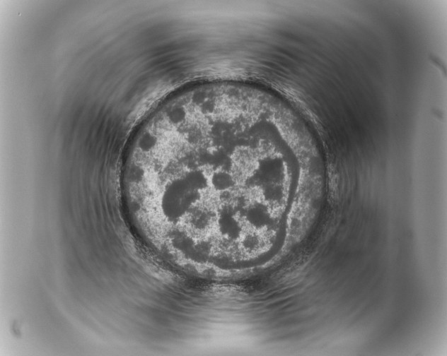 X0000102040487200808151410