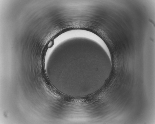 X0000102040488200808151410