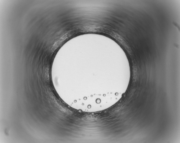 X0000102040489200808151410