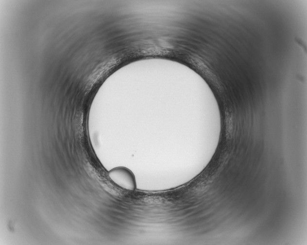 X0000102040490200808151410