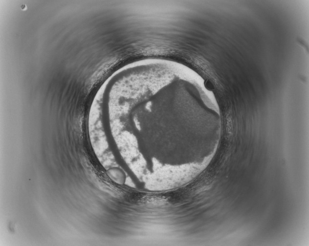 X0000102040491200808151410