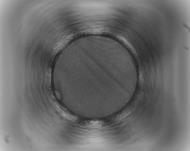 X0000102040493200808151410