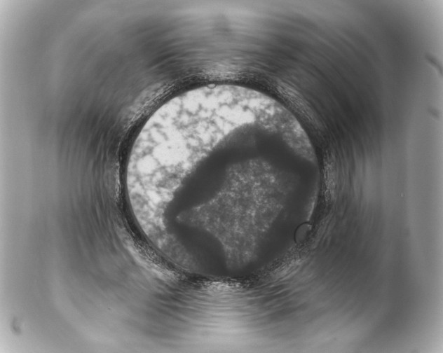 X0000102040494200808151410